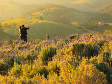 Pertinho de Paraty, essa cidade paulista é um refúgio de charme europeu, natureza e boa gastronomia