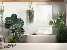 13 plantas que adoram umidade e são perfeitas para decorar o seu banheiro