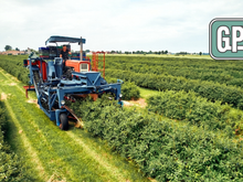 Nem trator, nem mão humana: nova tendência com IA revoluciona a agricultura no Brasil em 2025