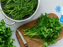 O método certo para cada erva: como congelar ervas para mantê-las frescas por 6 meses