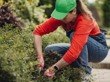 Muitas pessoas pulam essa tarefa de jardinagem no inverno - algo para se arrepender no verão