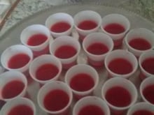 Gelatina com vodka