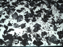 Pavê de bolachas negresco