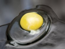 Sempre fiquei na dúvida se esse fio branco grudado na gema do ovo pode comer ou se faz mal para a saúde