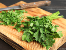 Sem refrigeração ou congelamento – o método que mantém as ervas frescas por mais tempo