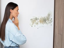 Poucos sabem, mas esse erro comum pode estar causando o mofo nas suas paredes!