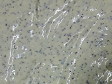 Mousse de maracujá