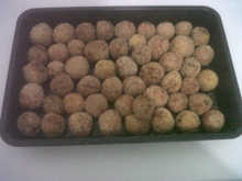 Bolinha de frango crocante