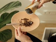 Cansado de comer frango? Esses animais exóticos são uma excelente fonte de proteína e ainda prolongam a saciedade