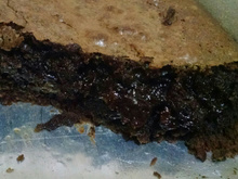 Brownie cremoso