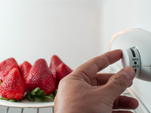 Os especialistas concordam quanto à temperatura do refrigerador: "Deve ser ajustada para 4 graus e o congelador para -18 graus."