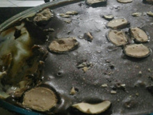 Serenata na travessa