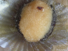 Olhos de sogra