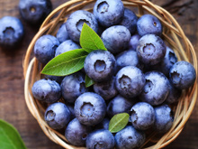 Mirtilo não é tudo igual: a diferença entre as duas variedades mais populares está nos nutrientes!