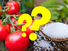 Você comeria tomate COM ADOÇANTE?! Pois é isso que os coreanos estão fazendo! Entenda o motivo dessa prática curiosa!