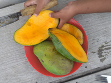 Casca de manga: o que a ciência diz sobre comer (ou não)