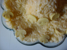 Risoto de champignon