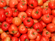 Acerola: conheça os benefícios dessa fruta deliciosa