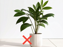 O vaso de planta feito de plástico ficou para trás: essa tendência é mais eficiente, melhora a drenagem e favorece o crescimento