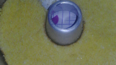 Bolo de cuscuz simples