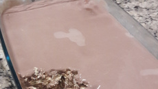 Pavê simples e rápido 