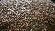 Bolo brigadeiro delicioso