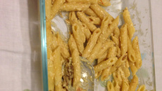 Macarrão penne ao molho branco