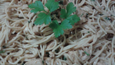 Macarrão com estrogonofe de frango