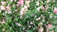 Farofa de couve mineira com bacon delicia