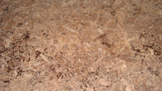 Bolo de festa de chocolate da Patthy