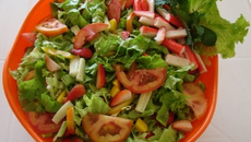 Salada primavera