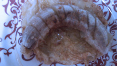 Tareco ou panqueca doce