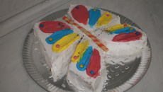 Bolo colorido borboleta