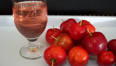 Licor de acerola