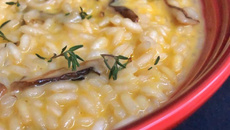 Risoto de tucupi amarelo com cogumelos