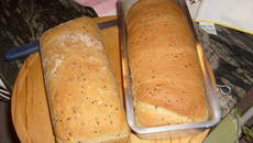 Pão integral maravilhoso