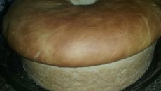 Pão sem leite e sem ovo