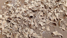 Mousse de chocolate fácil