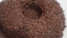 Bolo de chocolate super fácil