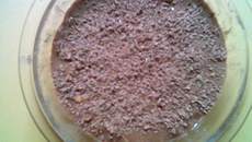 Chocolate de bolacha