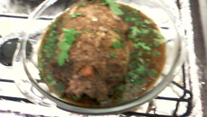 Lagarto Recheado - By Danilo