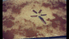 Arroz doce dos deuses