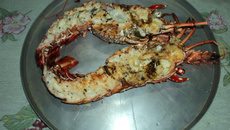 Lagosta Grelhada