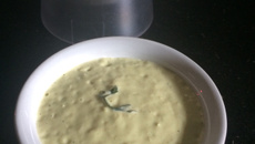 Creme de milho de liquidificador