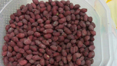 Amendoin Torrado com Sal