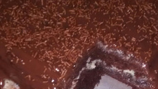 Bolo formigueiro com cobertura de brigadeiro mole