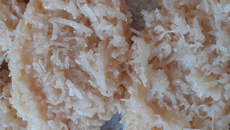 Cocada com leite condensado 