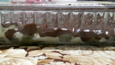 Doce de uva com chocolate