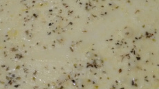 Escondidinho de carne do sol, calabresa e bacon