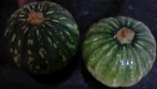 Abobrinha com camarão